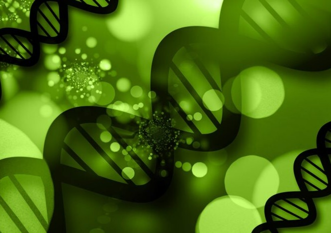 Biotech &amp; Barley: a webinar hosted by the American Malting Barley Association exploring innovation in the industry