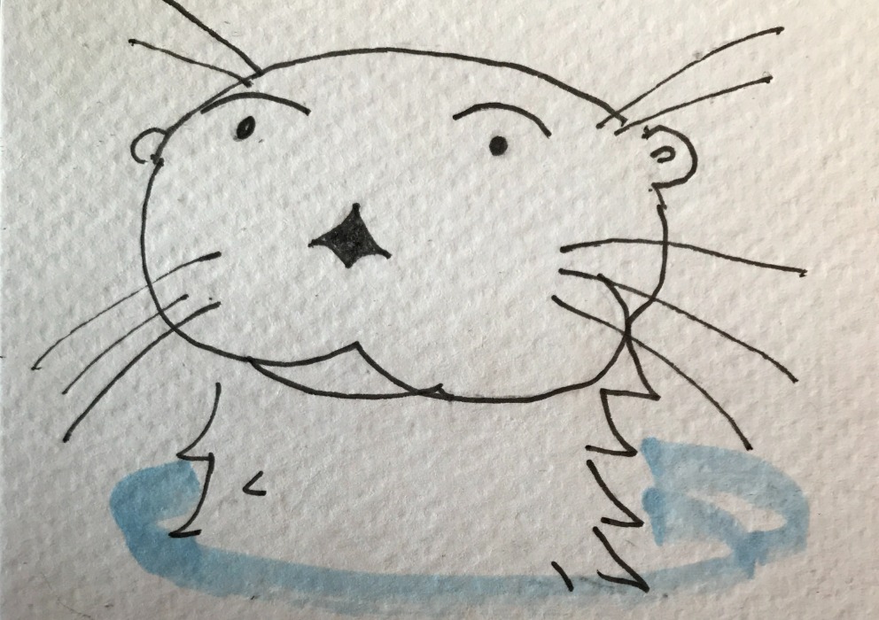 Lontra Barley: the New World Otter