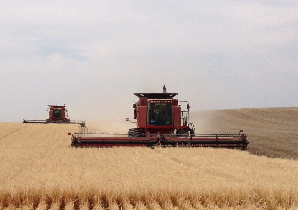 Recording now available: Understanding Crop Insurance webinar 
