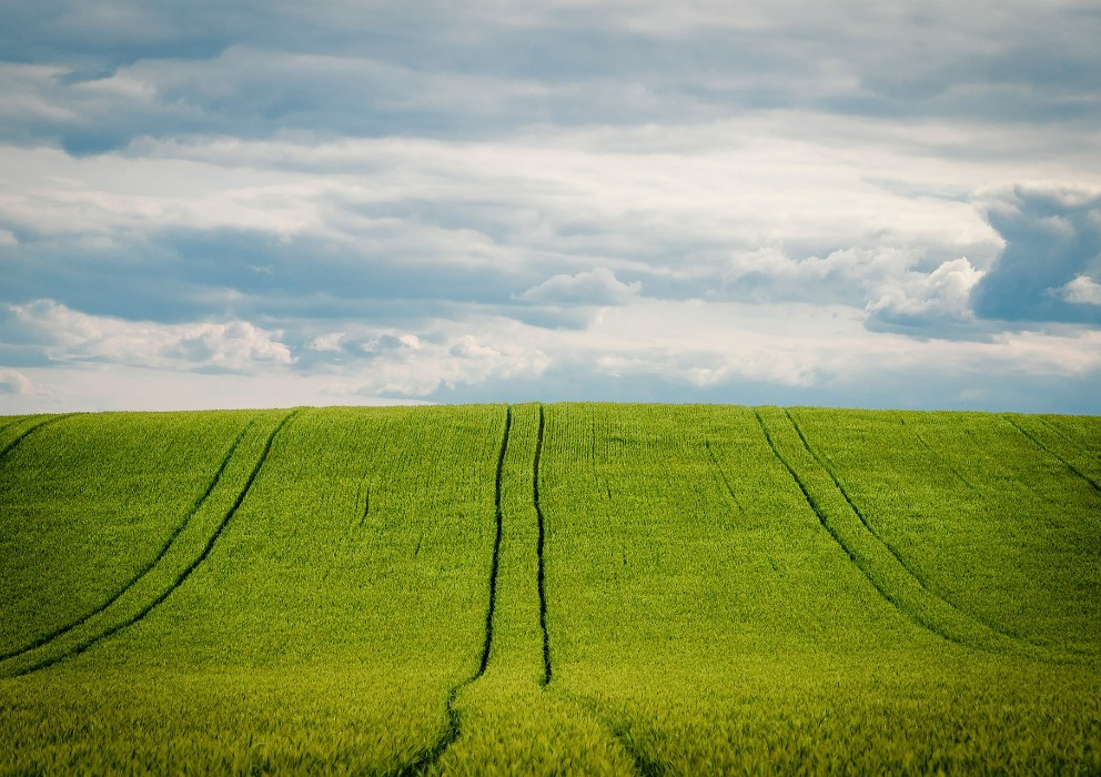 Final barley production and stock reports released for 2023 crop 