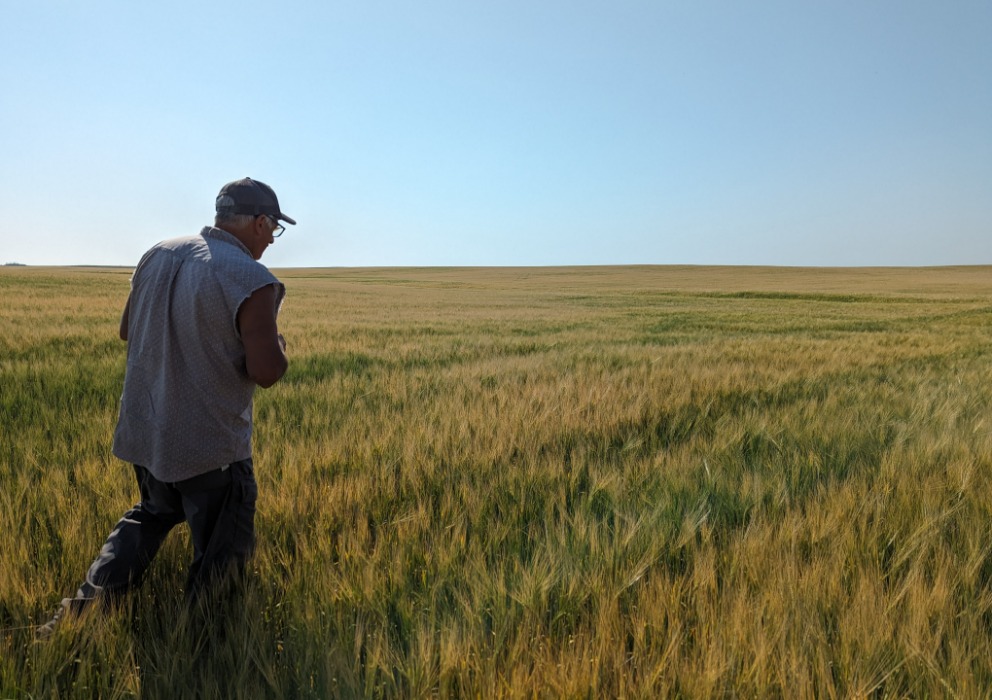 Seeded acreage down 18 percent with North Dakota realizing a historic low while stocks up 18 percent