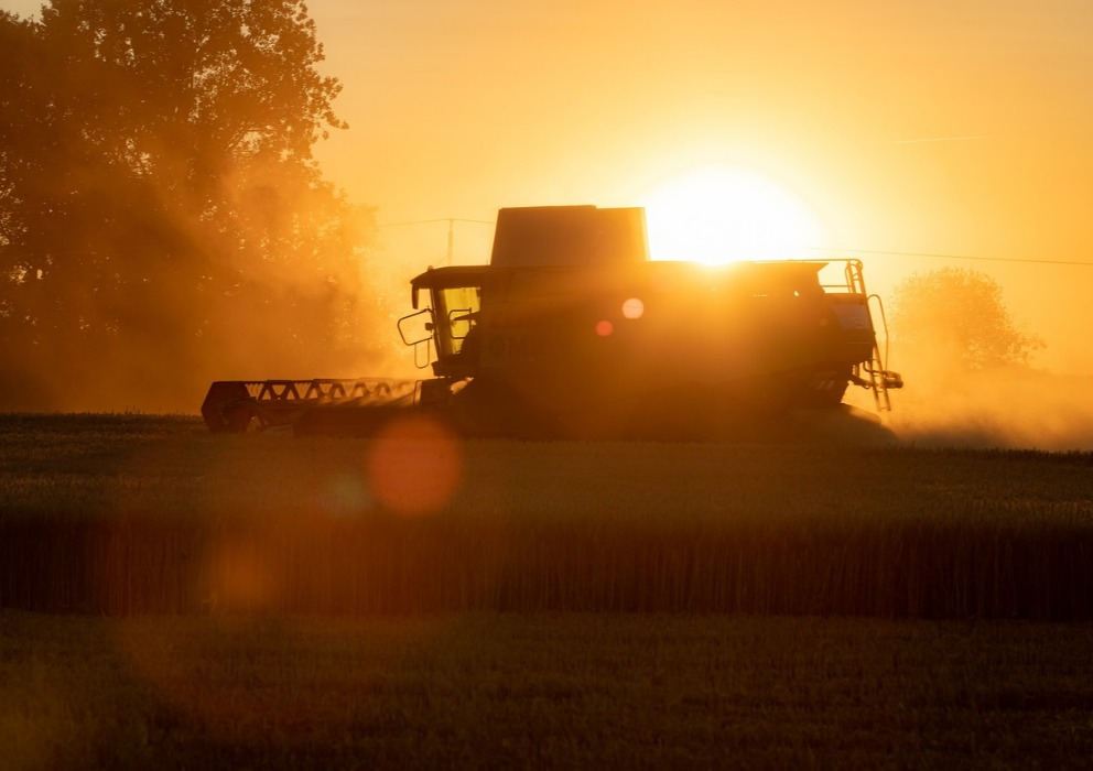 Barley production forecast down 20% from 2023 despite 72% of acreage rated in good to excellent condition