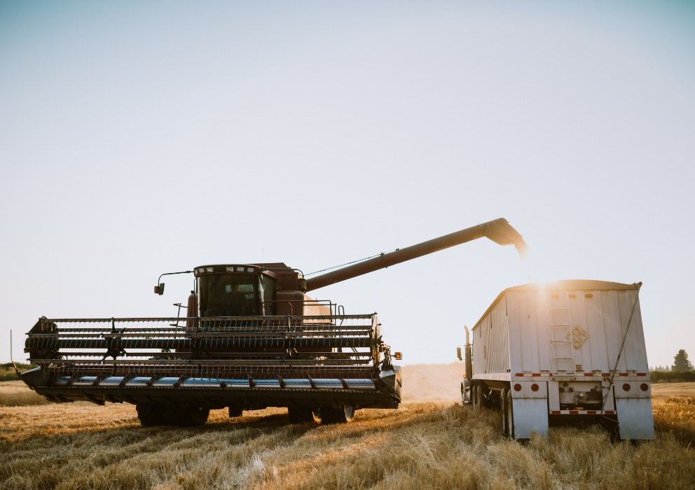 September 2024 Small Grains and Stocks Reports
