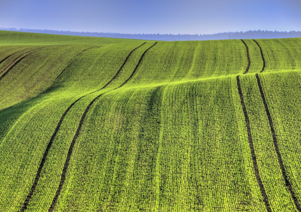 Three workgroups making progress on barley sustainability