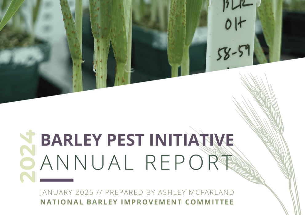 Barley Pest Initiative annual report released highlighting four years of progress