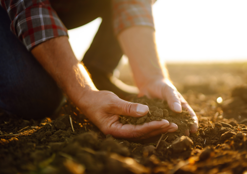U.S. barley industry launches project to baseline production impact
