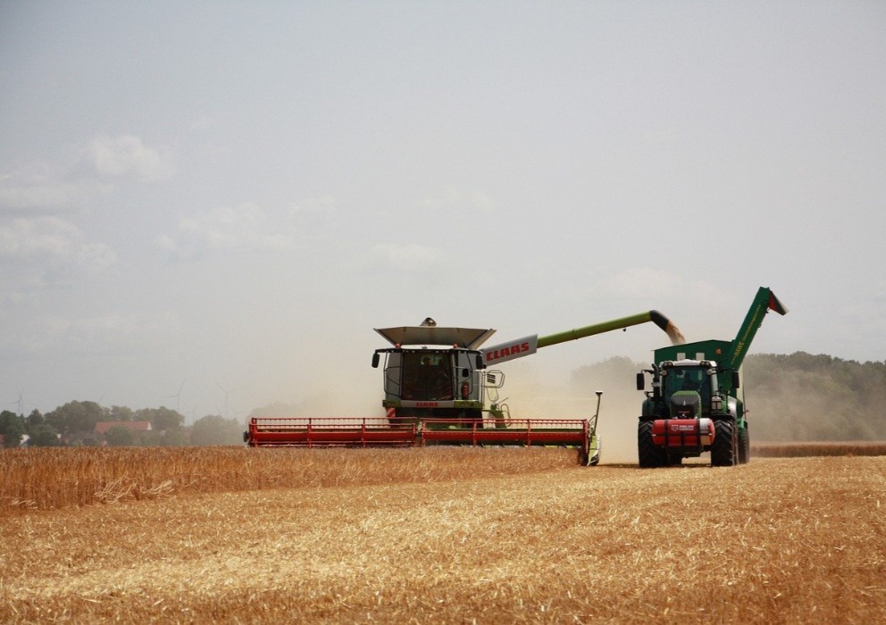 September 2025 Small Grains Summary and Stocks Report